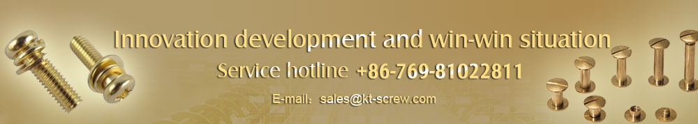 sales@kt-screw.com