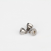 stainless steel special screw