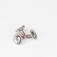 Stainless Steel special SEMS Screw