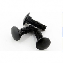 black oxide carriage audio screws