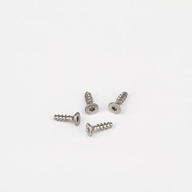 stainless steel torx screw