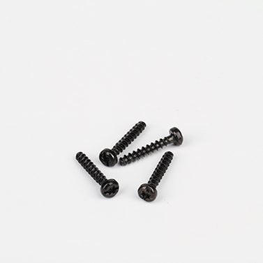 torx slotted screw