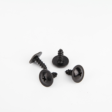 big washer head screw