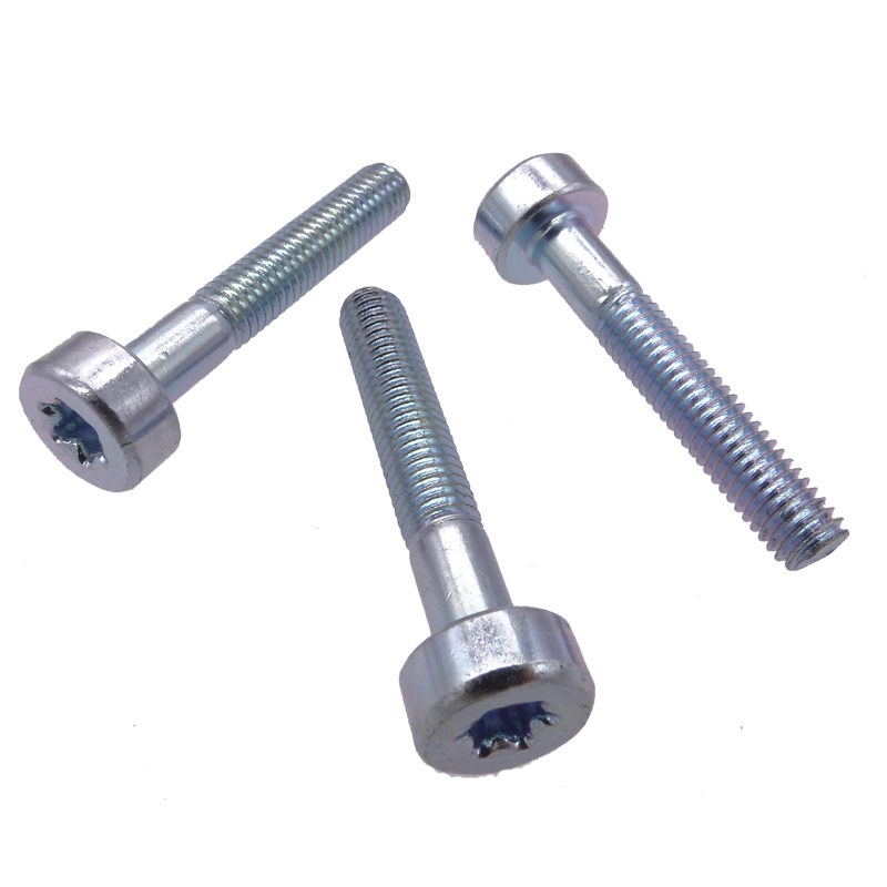 Torx Cap Head Screws,Stainless Steel screws