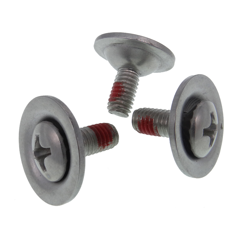 Stainless Steel Flanged Button Head Screws