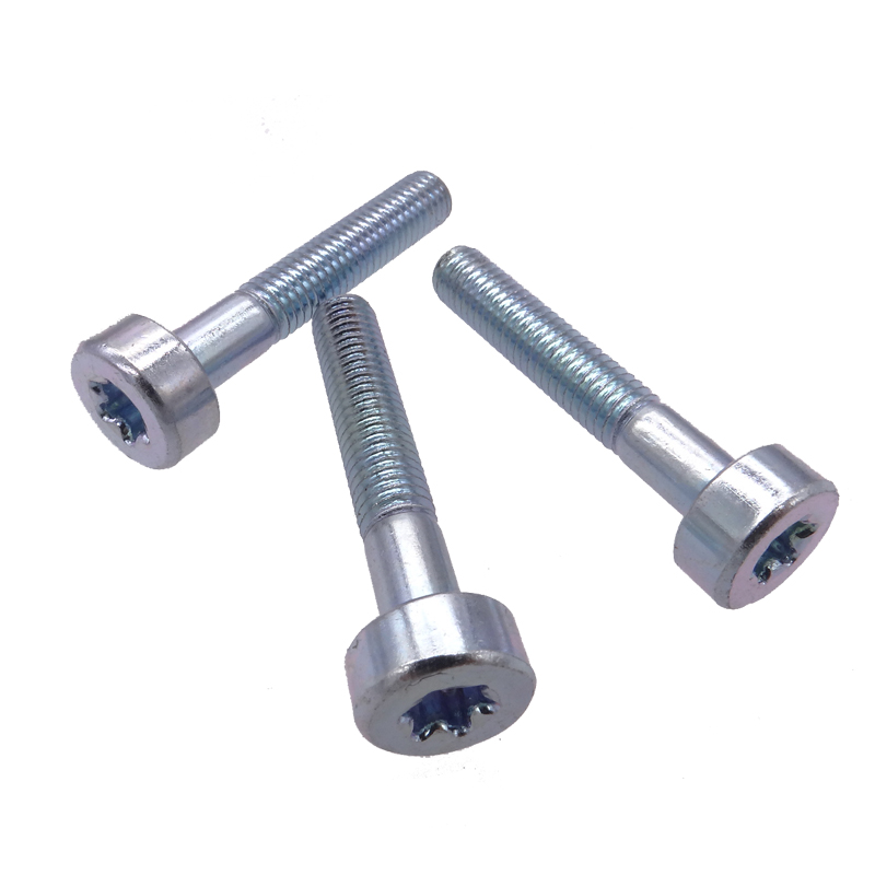 Cap Head Captive Screws 